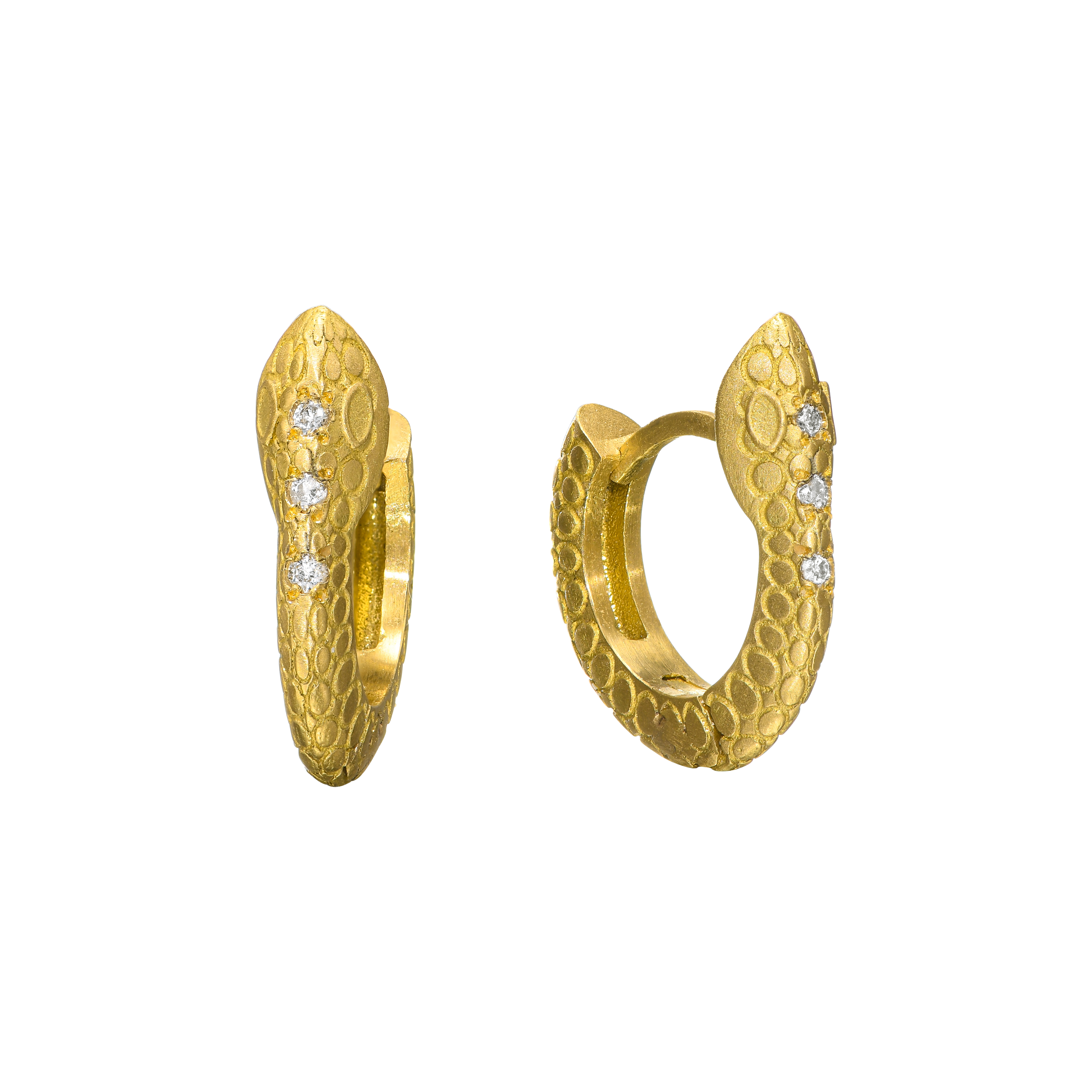 {{ product.name}} - מיכל בן ישי