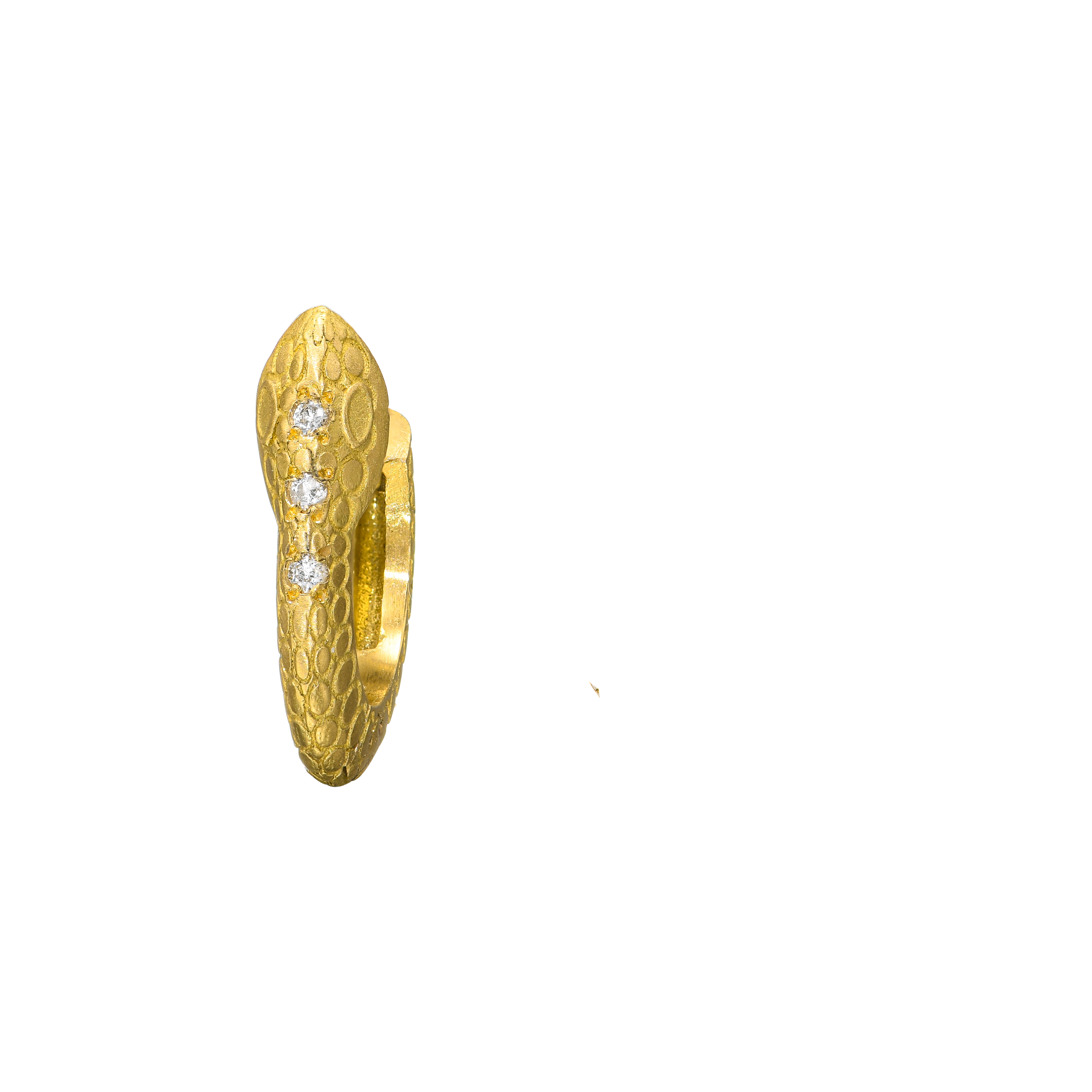 {{ product.name}} - מיכל בן ישי