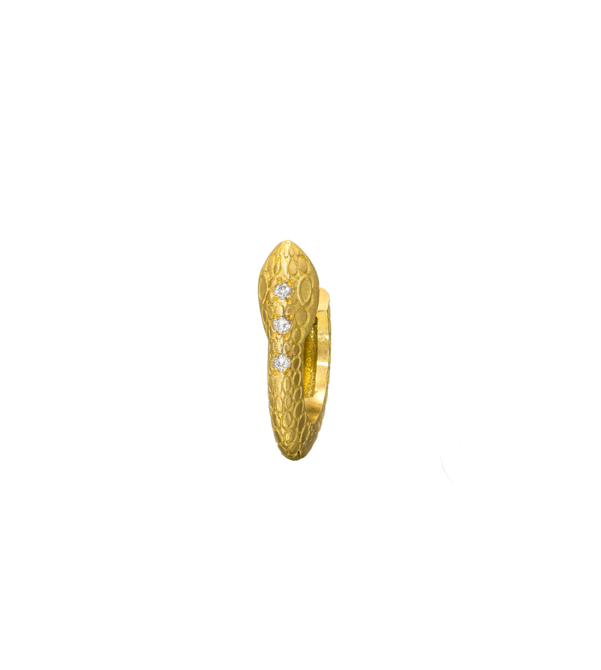 {{ product.name}} - מיכל בן ישי