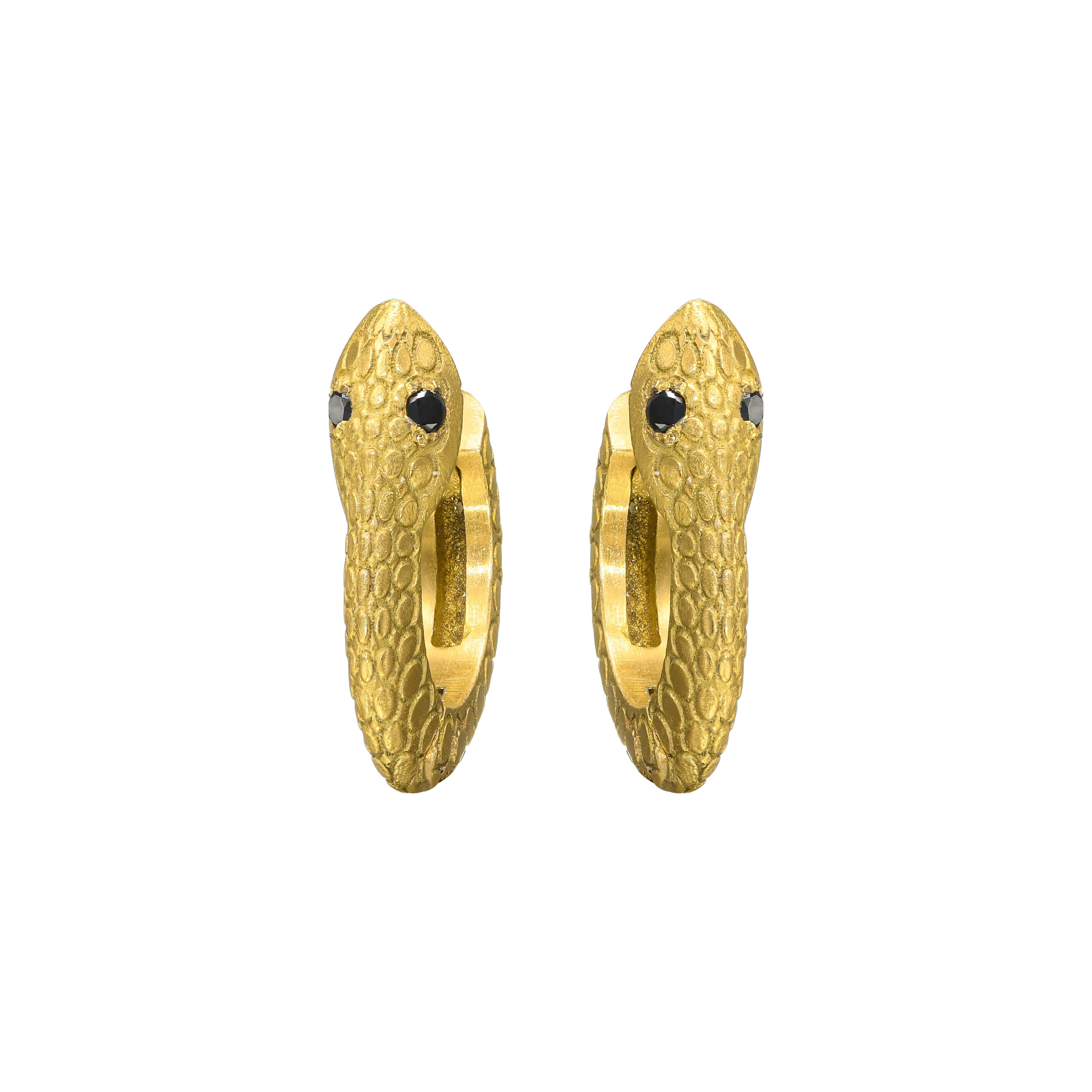 {{ product.name}} - מיכל בן ישי