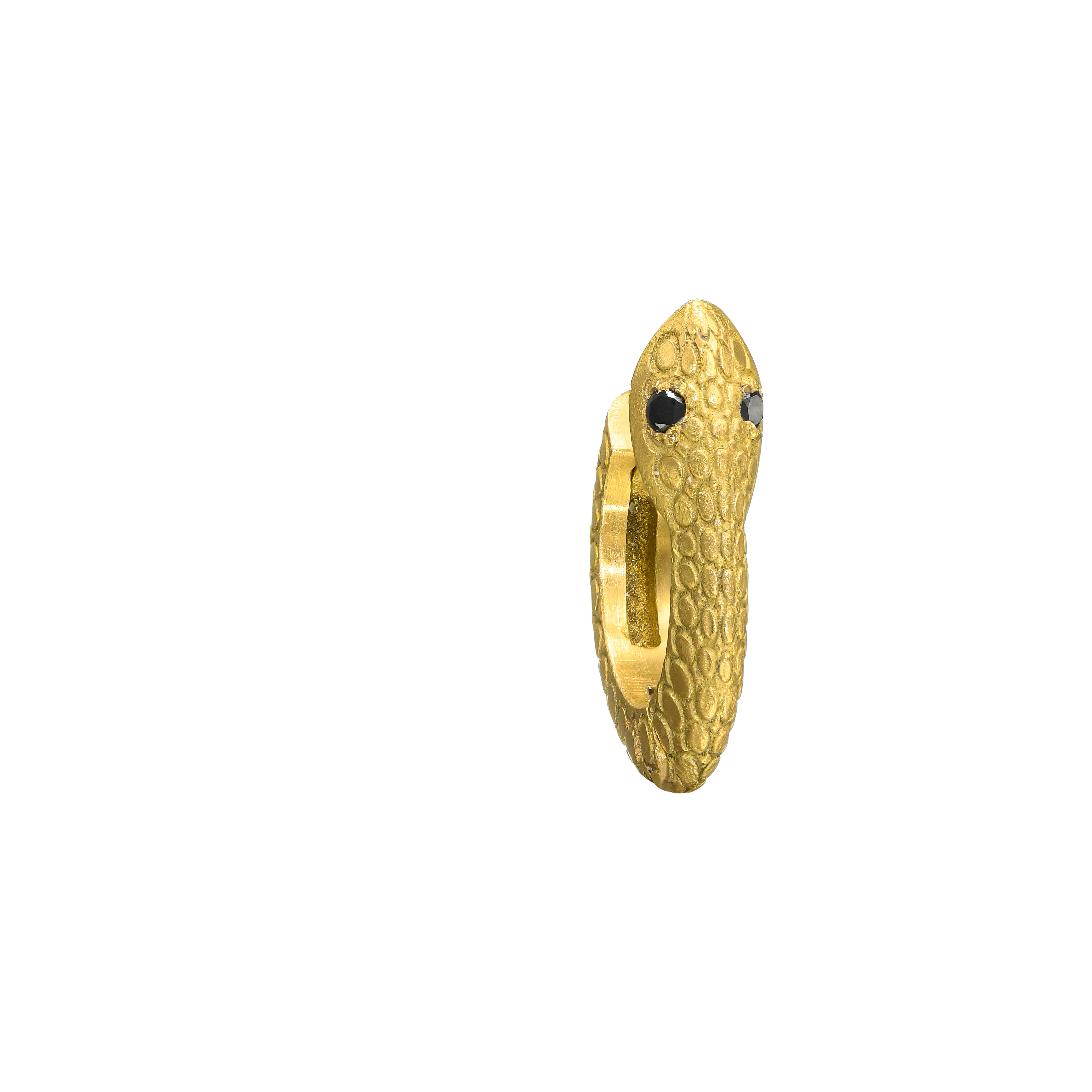 {{ product.name}} - מיכל בן ישי