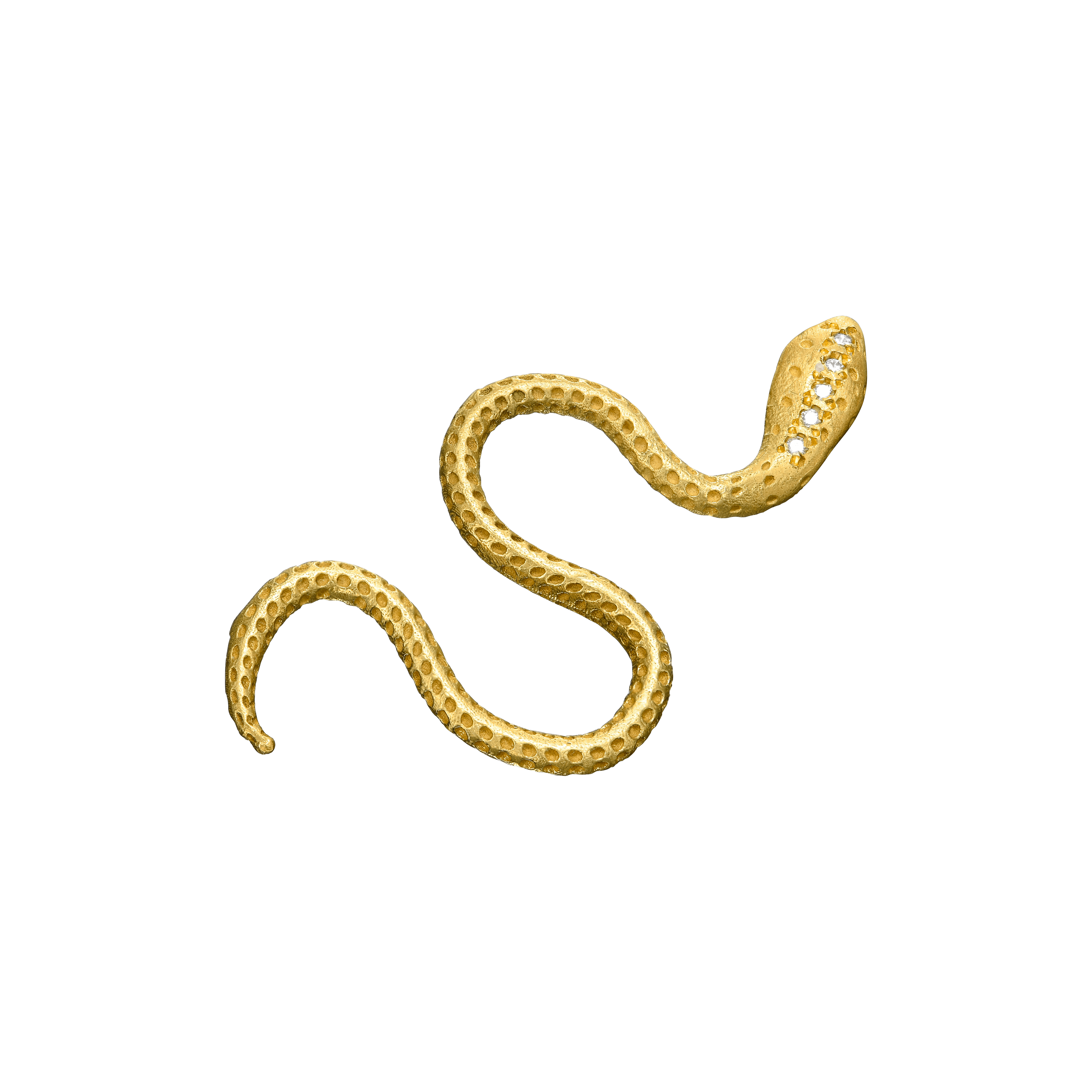 {{ product.name}} - מיכל בן ישי