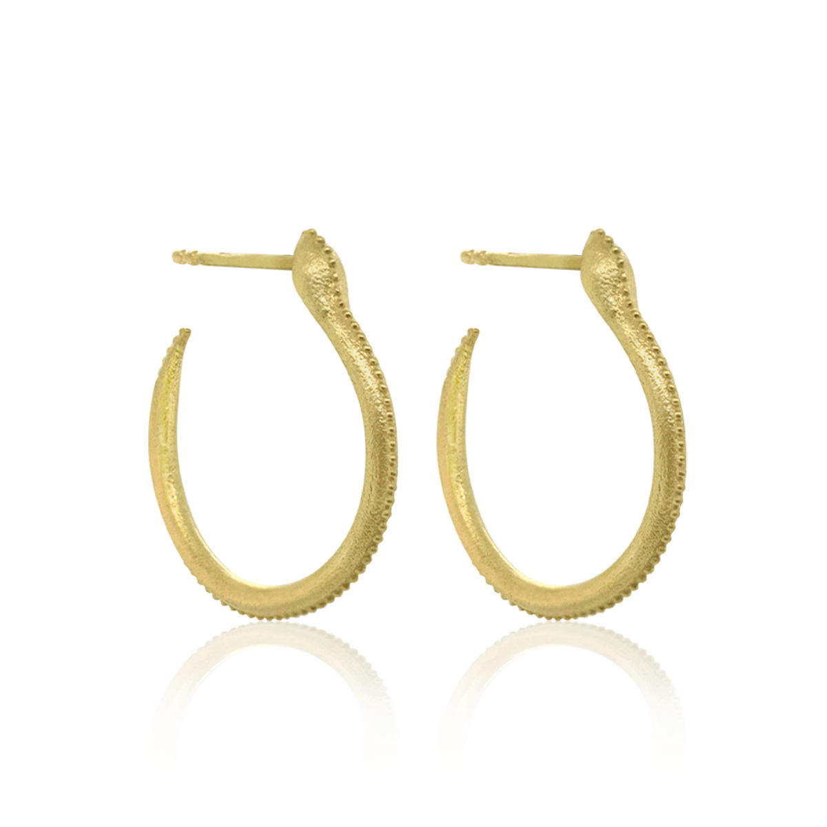 {{ product.name}} - מיכל בן ישי