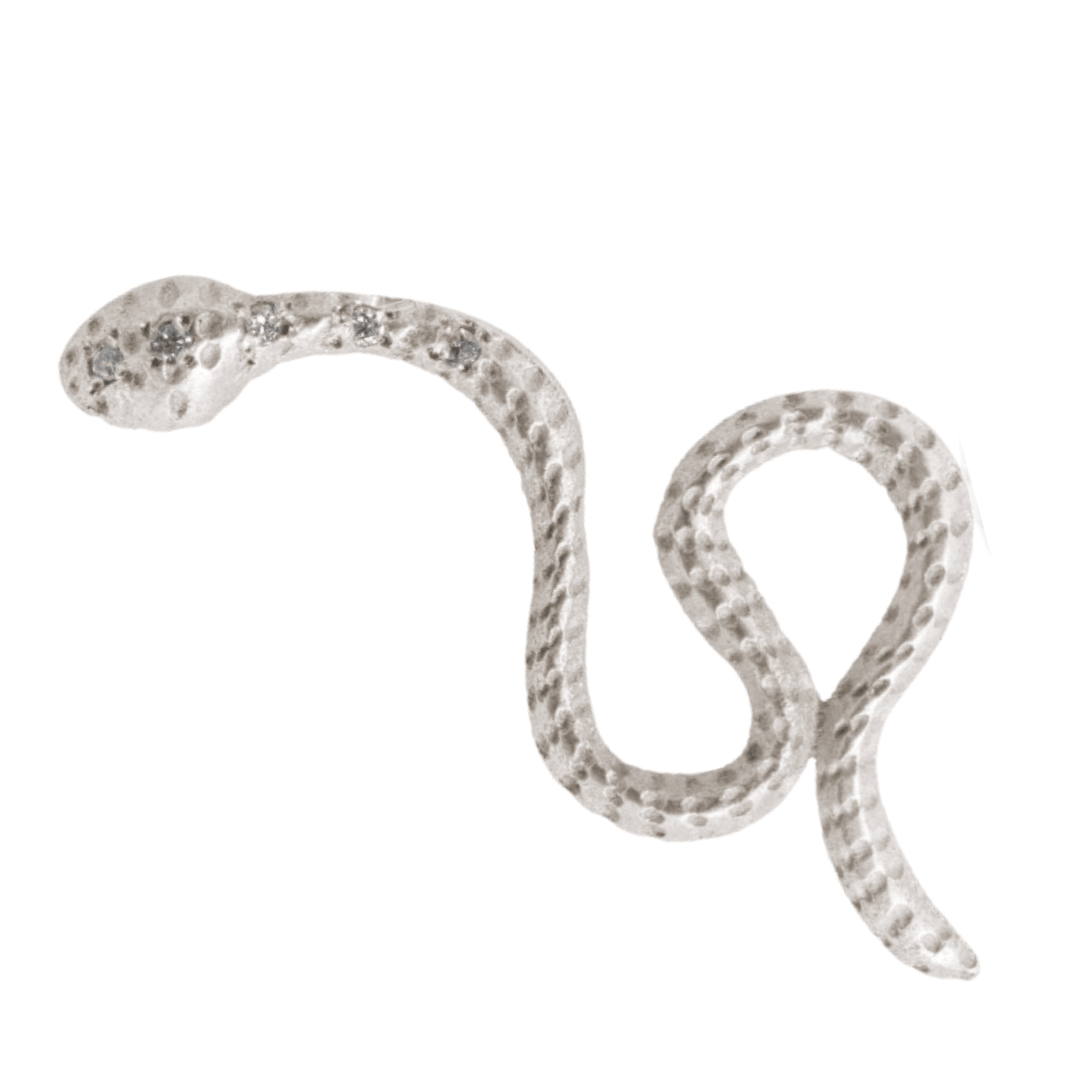 {{ product.name}} - מיכל בן ישי