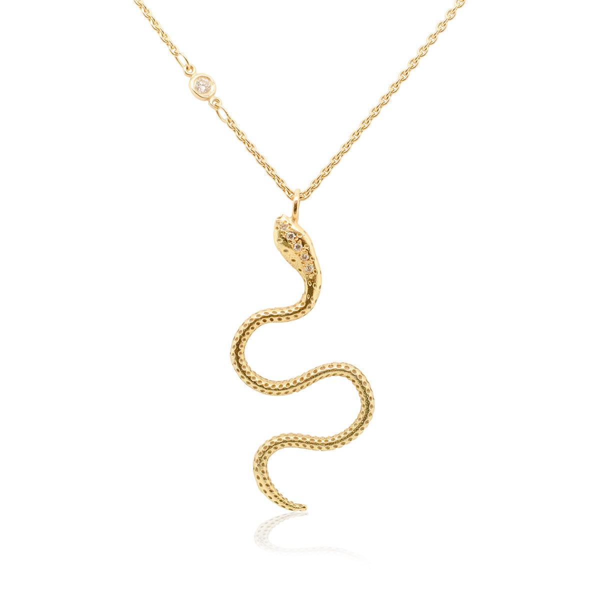 {{ product.name}} - מיכל בן ישי