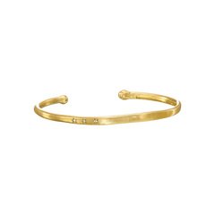 {{ product.name}} - מיכל בן ישי