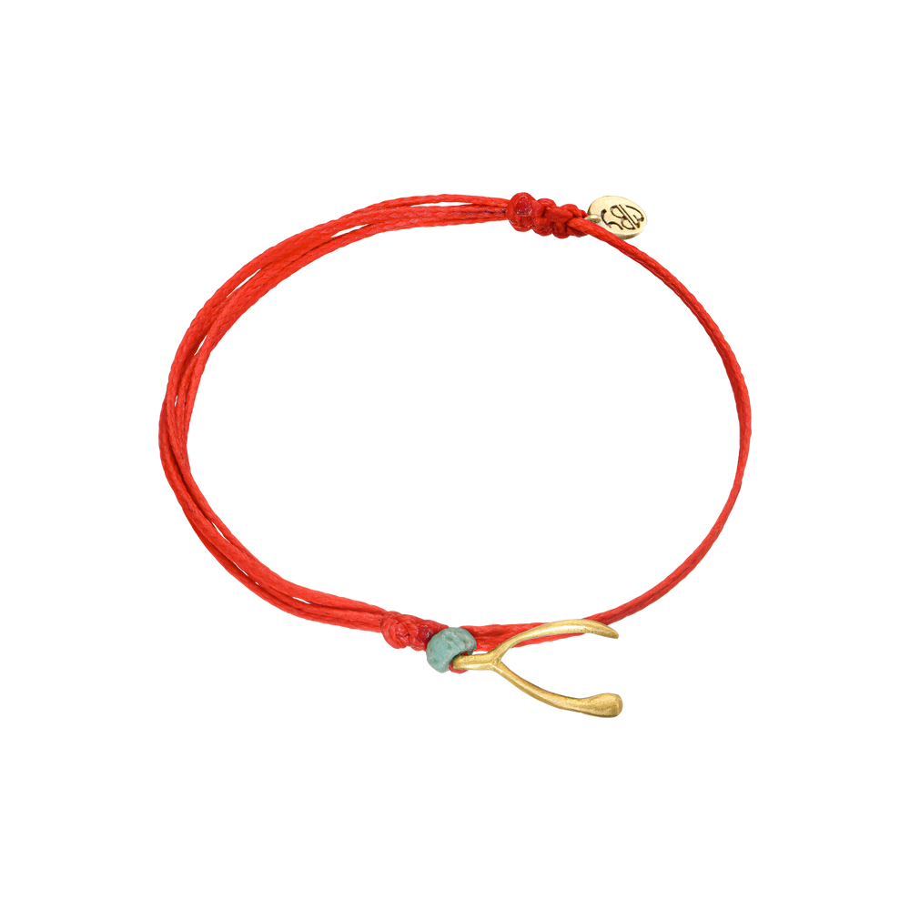 {{ product.name}} - מיכל בן ישי