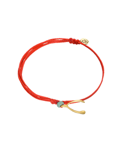 {{ product.name}} - מיכל בן ישי
