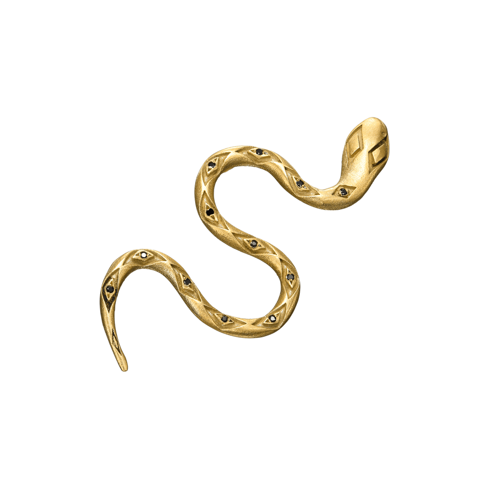 {{ product.name}} - מיכל בן ישי