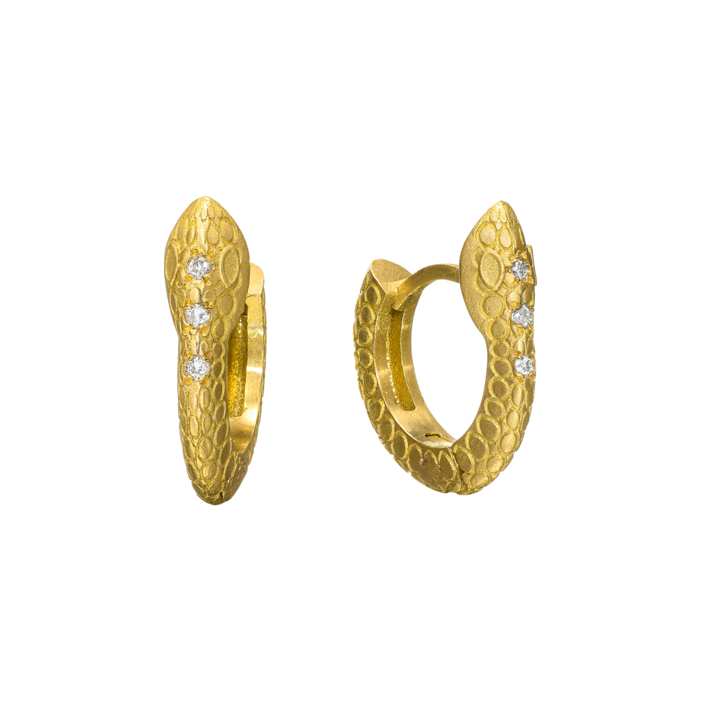 {{ product.name}} - מיכל בן ישי