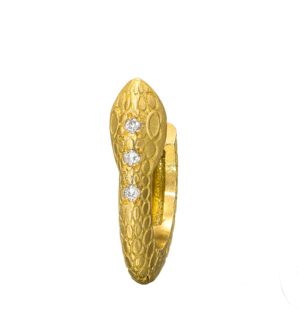 {{ product.name}} - מיכל בן ישי