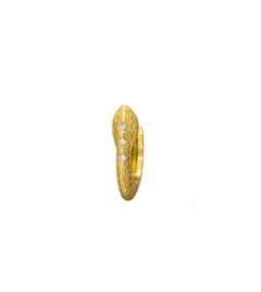 {{ product.name}} - מיכל בן ישי