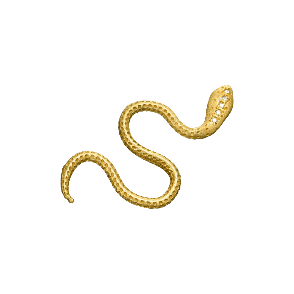 {{ product.name}} - מיכל בן ישי