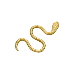 {{ product.name}} - מיכל בן ישי