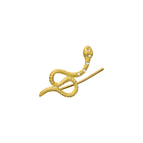 EM-SNAKE-DI
