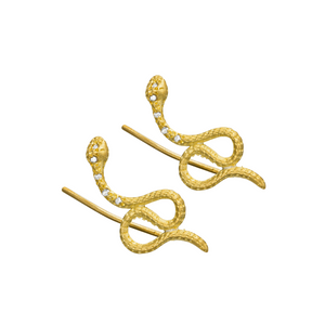 EM-SNAKE-DI