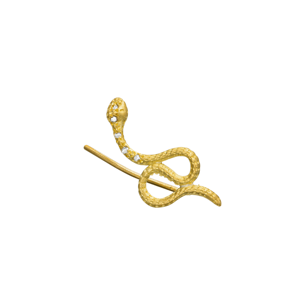 EM-SNAKE-DI