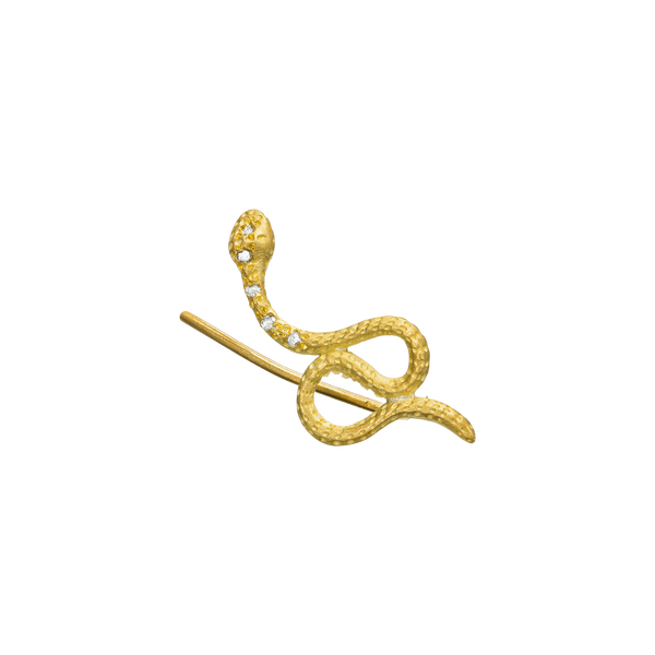 EM-SNAKE-DI
