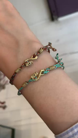 צמיד דרקון מיכל בן ישי