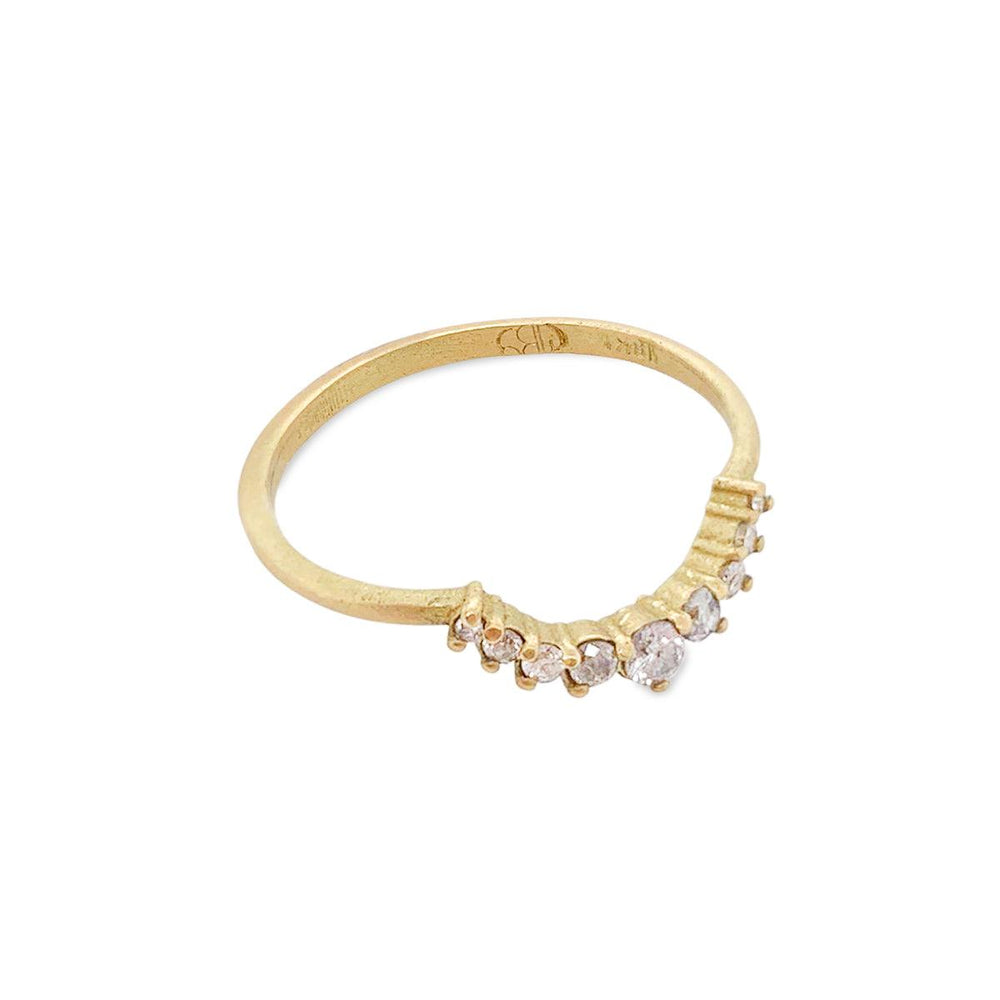 {{ product.name}} - מיכל בן ישי