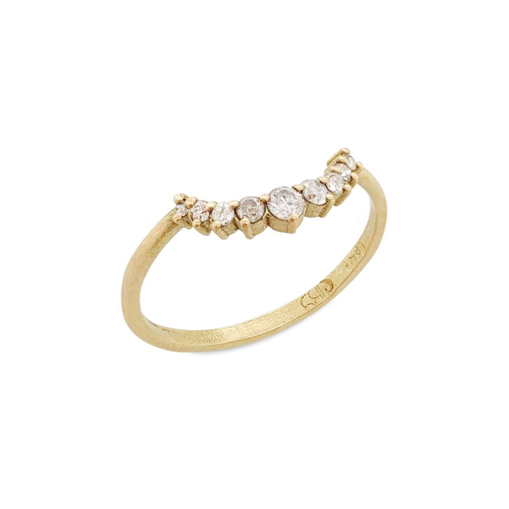 {{ product.name}} - מיכל בן ישי