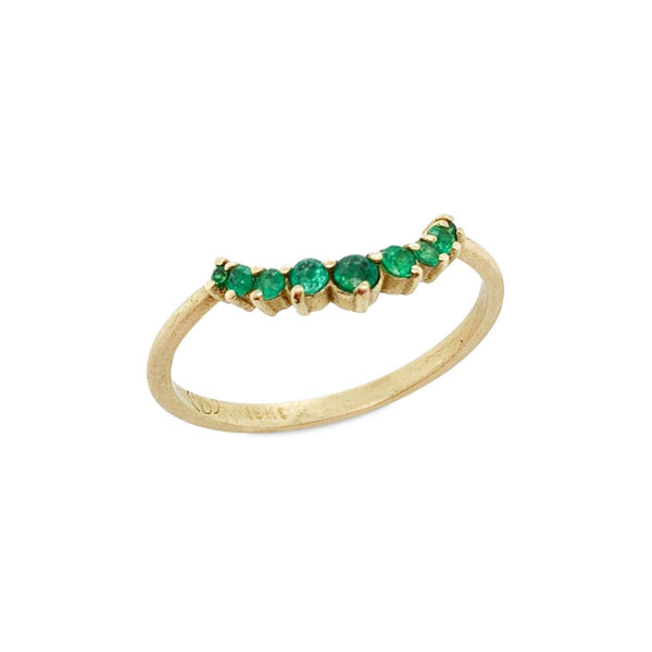 {{ product.name}} - מיכל בן ישי