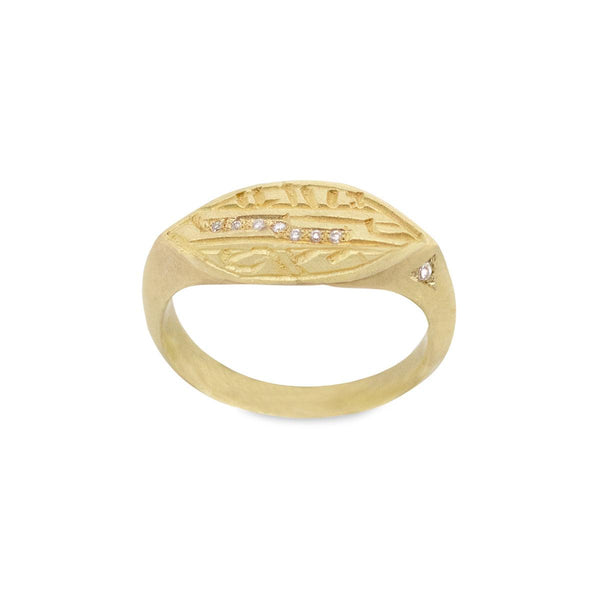 {{ product.name}} - מיכל בן ישי