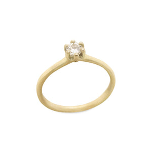 {{ product.name}} - מיכל בן ישי