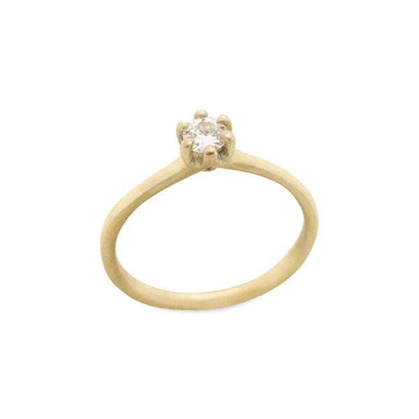 {{ product.name}} - מיכל בן ישי