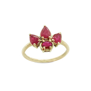 {{ product.name}} - מיכל בן ישי