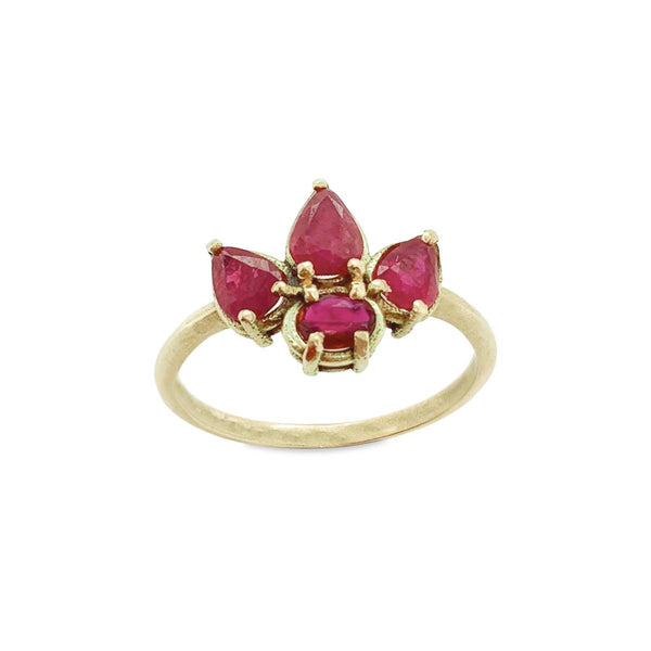 {{ product.name}} - מיכל בן ישי