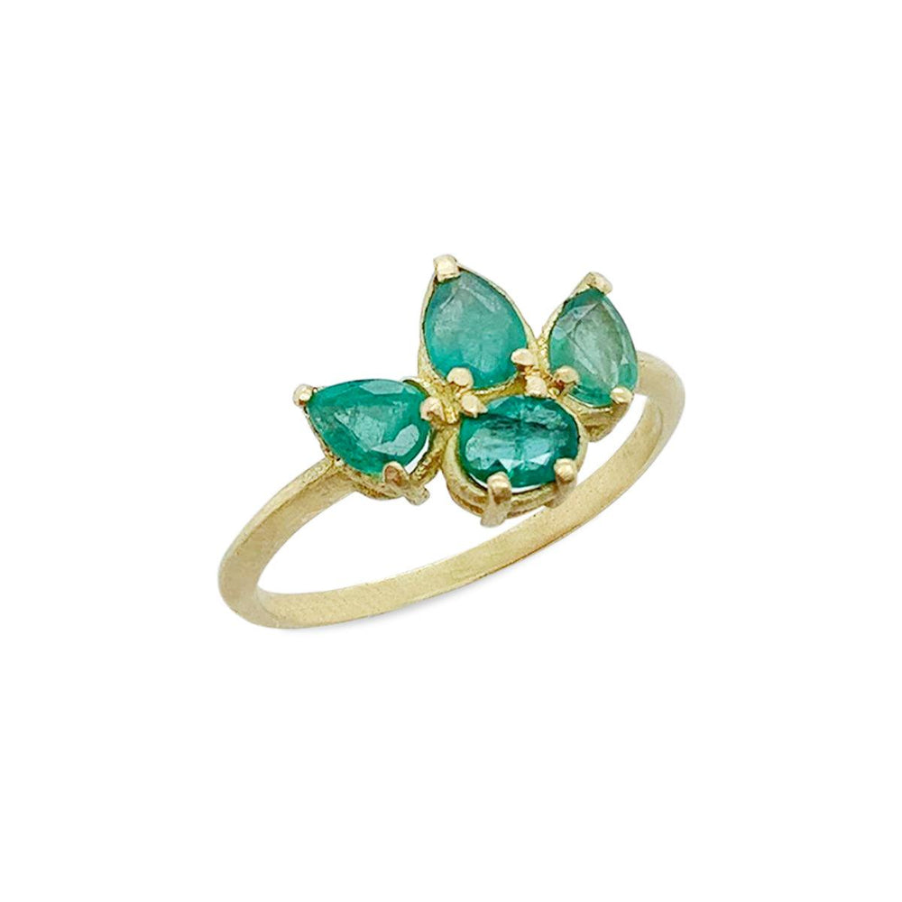 {{ product.name}} - מיכל בן ישי