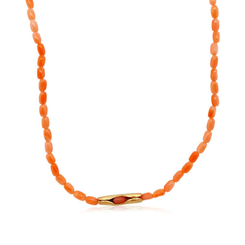 {{ product.name}} - מיכל בן ישי