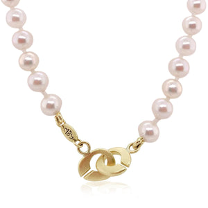 {{ product.name}} - מיכל בן ישי