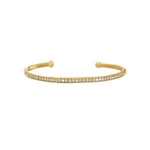 {{ product.name}} - מיכל בן ישי