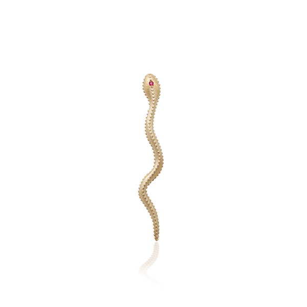 {{ product.name}} - מיכל בן ישי