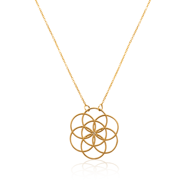 {{ product.name}} - מיכל בן ישי