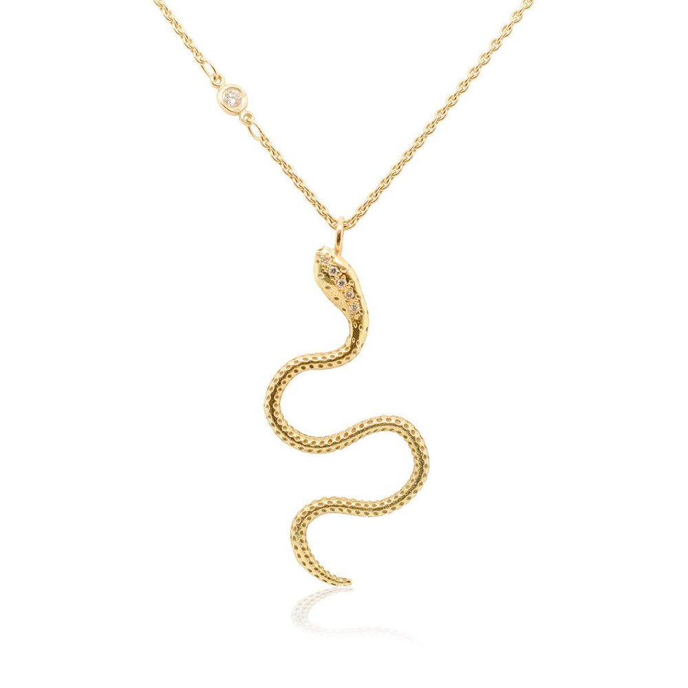 {{ product.name}} - מיכל בן ישי