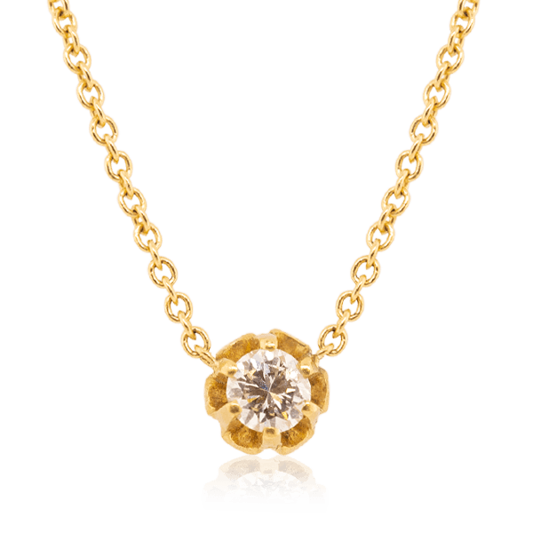 {{ product.name}} - מיכל בן ישי