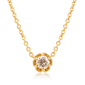 {{ product.name}} - מיכל בן ישי